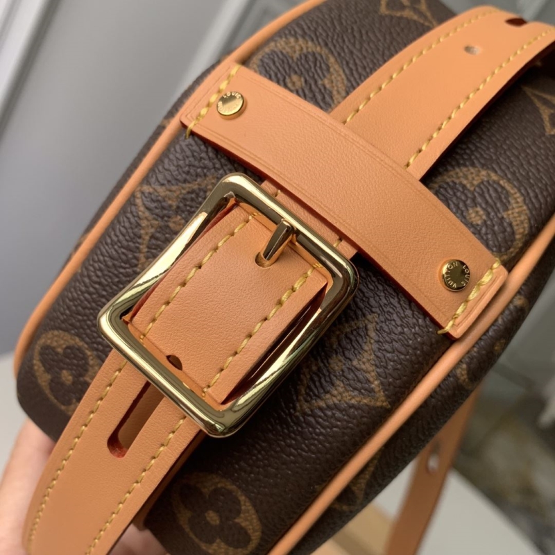 LV Satchel bags